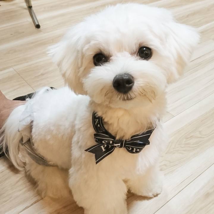 91fc39f2 bc8f 420a bf29 37f4d08952ec 1599418719284