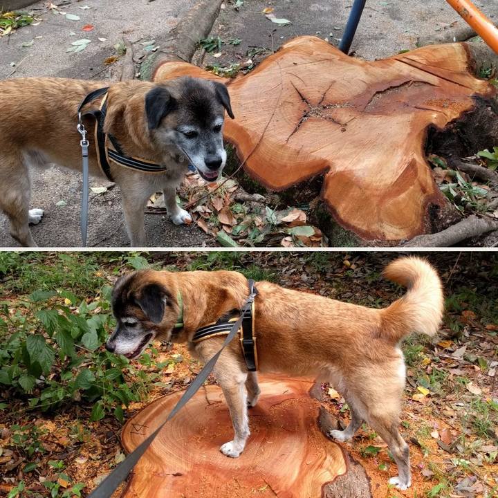 91fc3ecd 993f 4518 98b5 986af4738dca 1535069438241