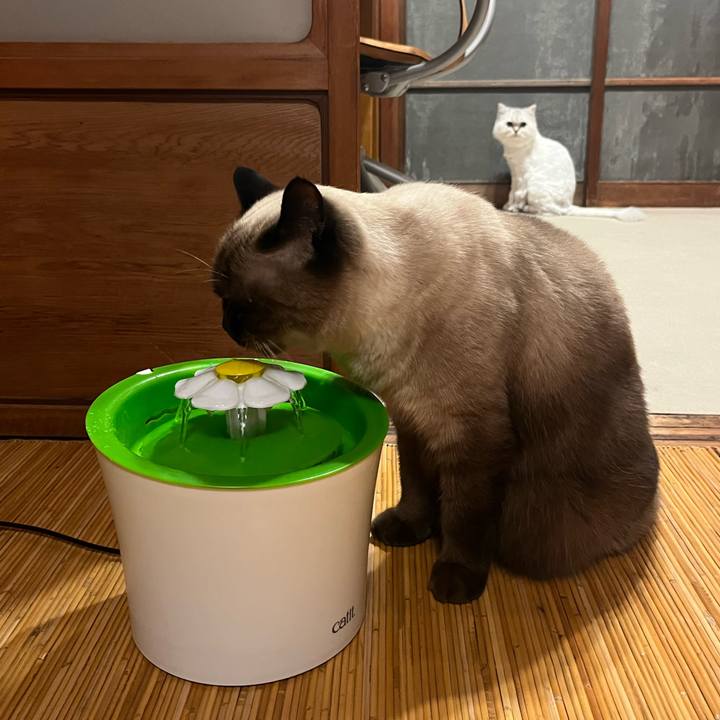 91fc43f6 e303 4cae a14d 22af2e3bd259 1664884139814