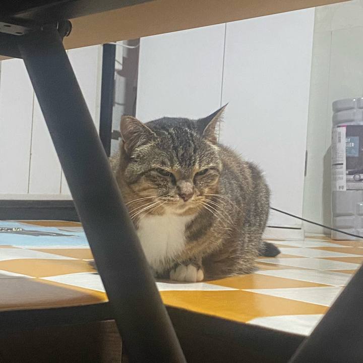 91fc4af9 7f37 43c8 babf b7384dbaaabe 1718117489467