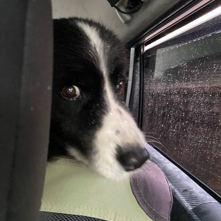 91fc78ca 410a 42a4 9008 3eb87e49da79 1685484374655