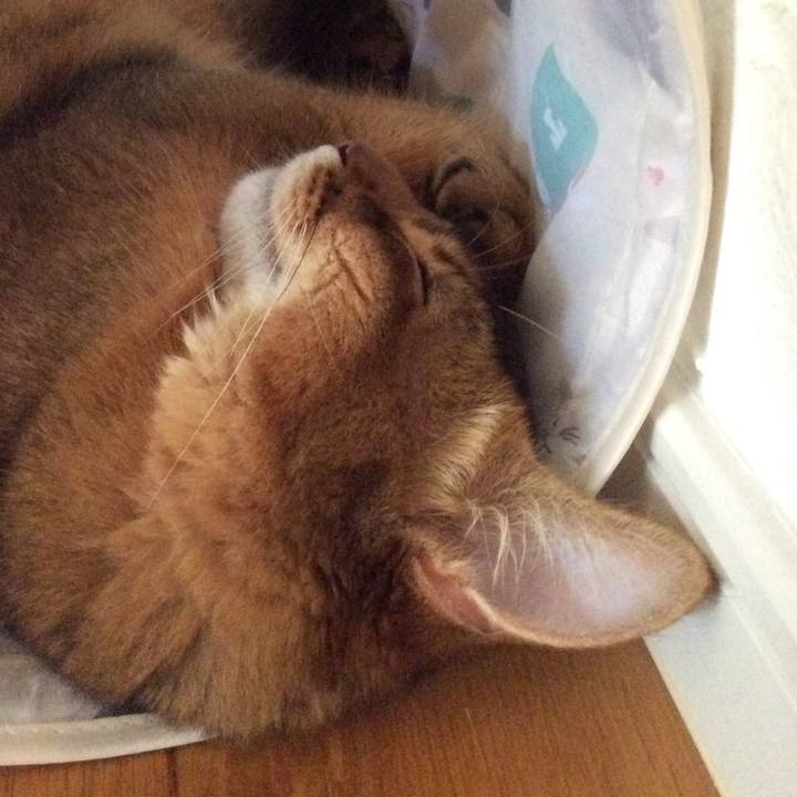 91fcb9dc 2db0 46f3 987d b09b801078c1 1608817886736