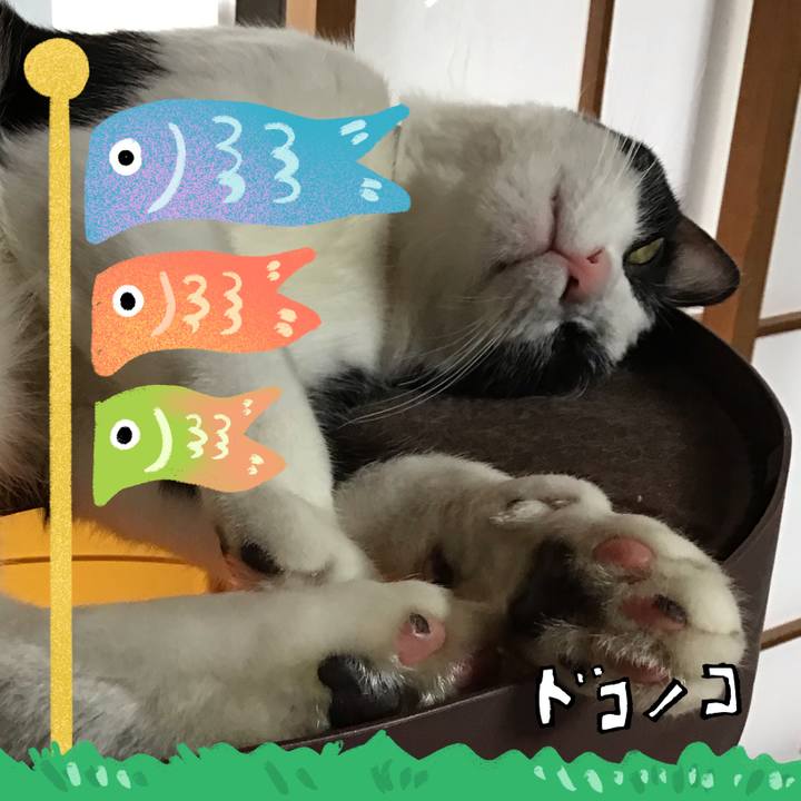 91fcba6e a681 4ed4 8258 76406be81315 1714875330986