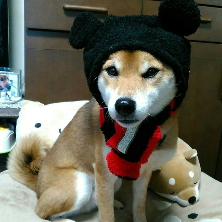 91fcca18 610e 4977 ac81 15d2ac007902 1544751647368