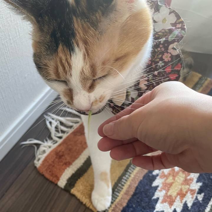 91fcd435 8ac5 4586 931a 8a8ca6a8820b 1749094215621