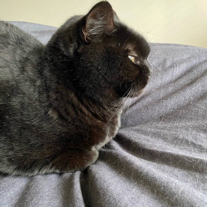 91fce7f6 55e9 44f1 a84e 493fe49d91e8 1709936648724