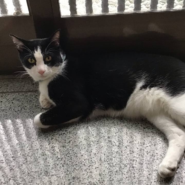 91fd0a8f 304c 4d7a ac84 ace30c7ae341 1661689685091