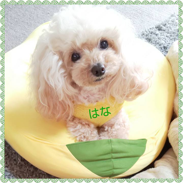 91fd1332 2e71 423d 9211 6d1c144ca085 1678431960407