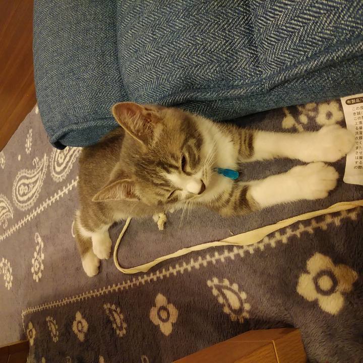 91fd14a0 4089 4f1f a735 9df7346c4126 1563807316494