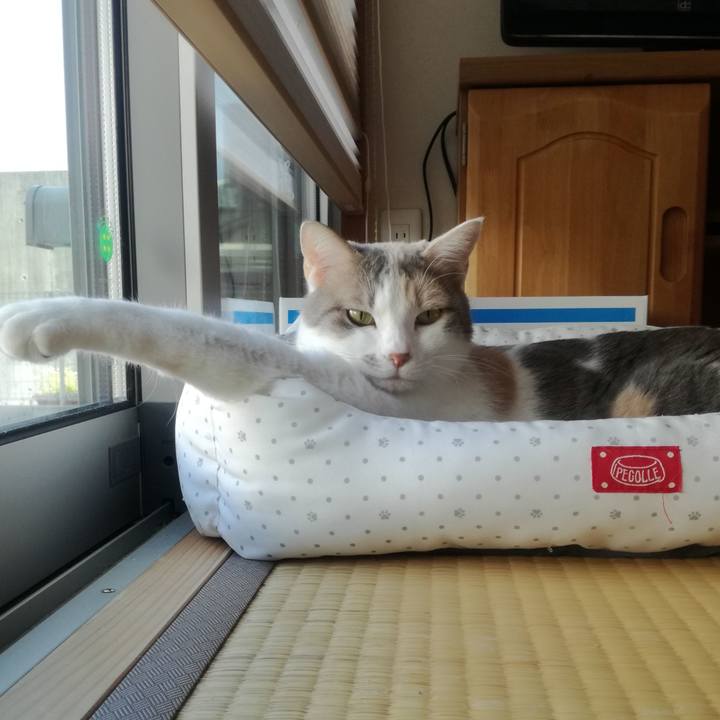 91fd1a44 2ff6 42fa 8fae 16309a03ef71 1556840451371