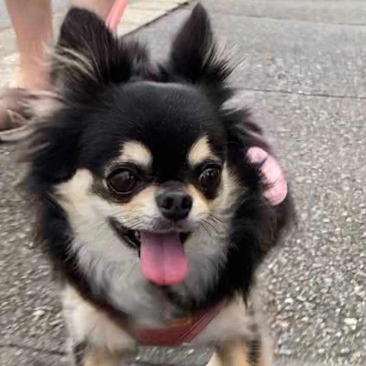 91fd2054 2efe 40ea a91c 7c2ff7a10f7c 1629589714361