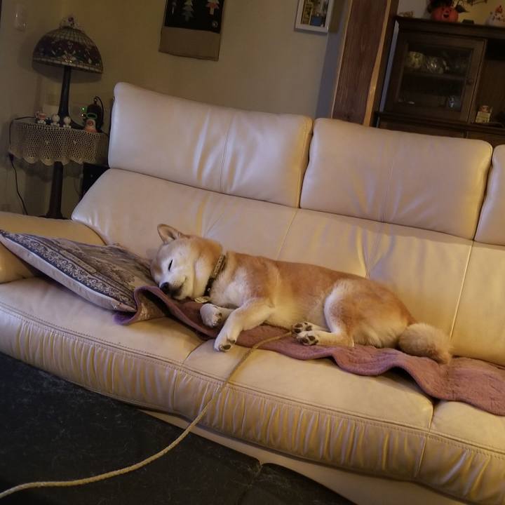 91fd377e b08c 452a 9770 c9dff3fc4ca4 1698575400502