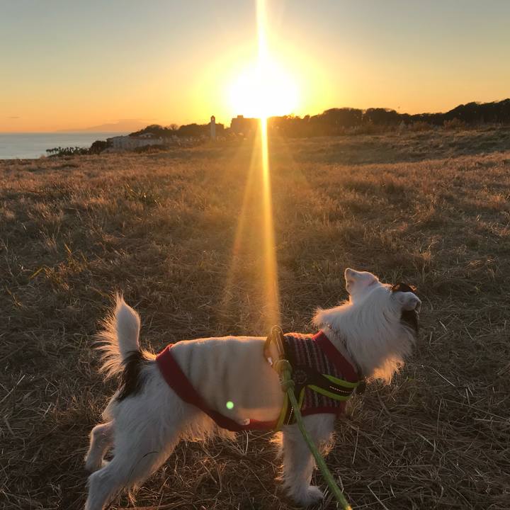 91fd4f9e eedf 47e1 8cab 994558da2575 1702986272793