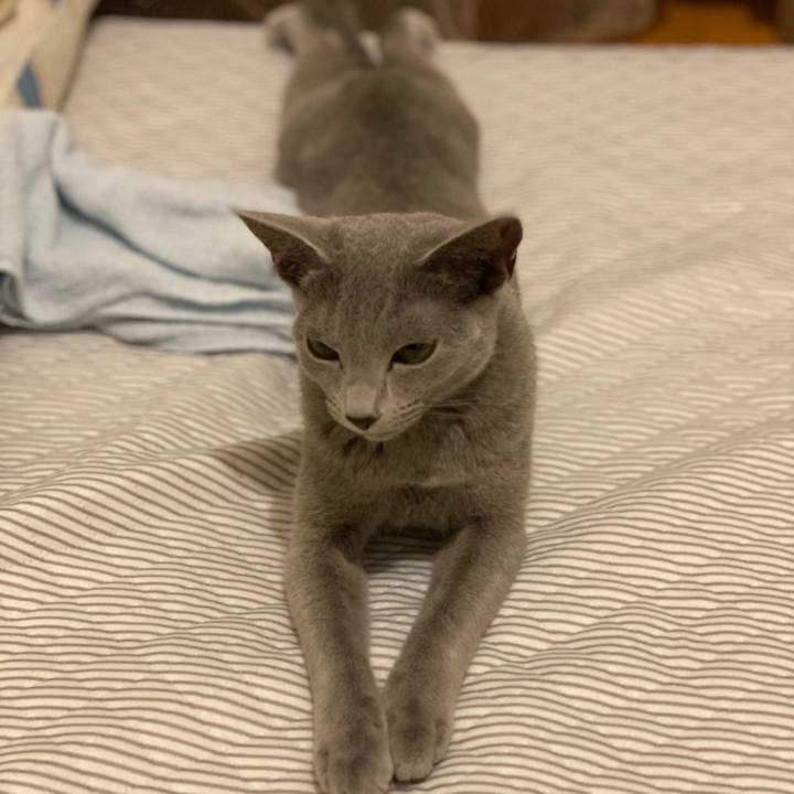 91fdaee5 7981 4538 9c57 109cb5ce766b 1605098359776