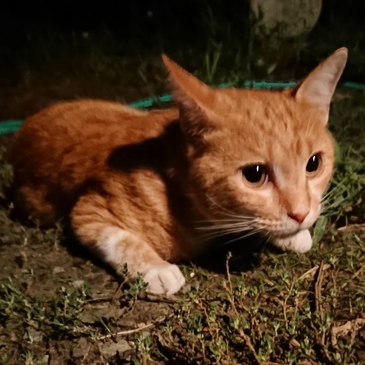 91fdd724 57ca 4b8c 8cc6 f0b3c8e89d1c 1566043871477