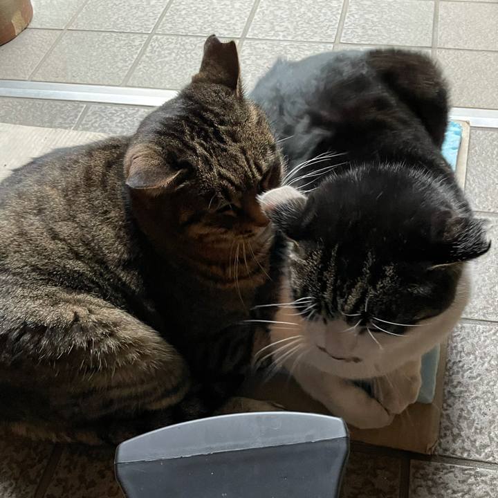 91fde766 0be5 402a a501 3ffe0c38fba8 1609146058036