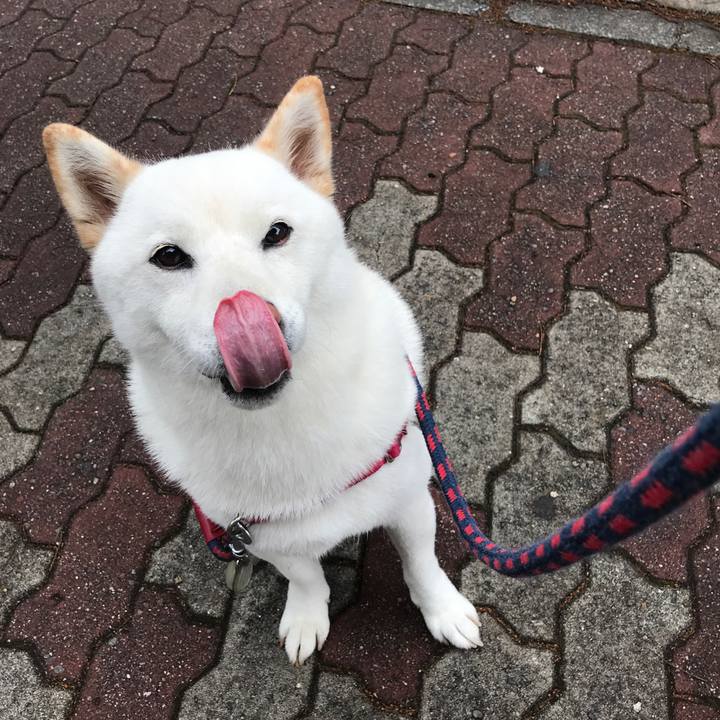 91fdeb23 4100 4312 88c4 02ad4136b921 1533687920871