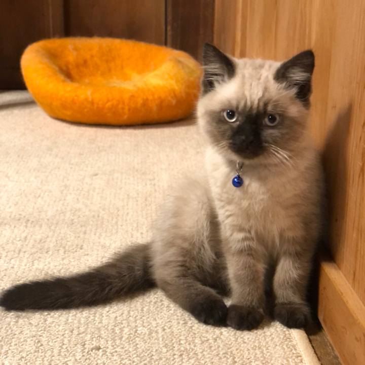 91fe01e6 7884 49a6 81ee 1b05b78a6861 1588206567264