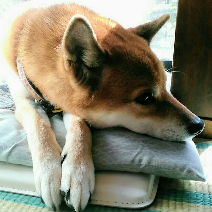 91fe2f42 4288 4eff 9357 796302d66d6b 1569382533076