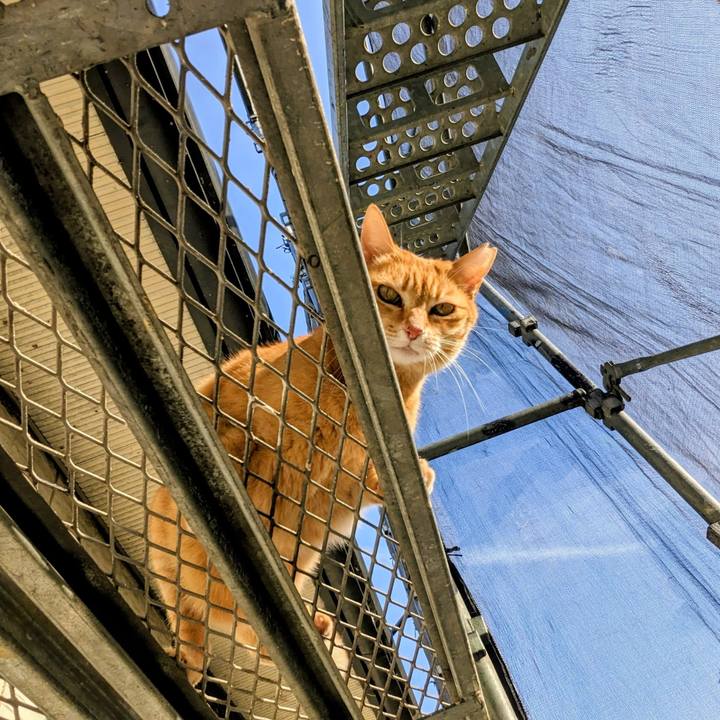 91fe7491 b253 4d23 95e0 9cf0c39043ae 1772669239602