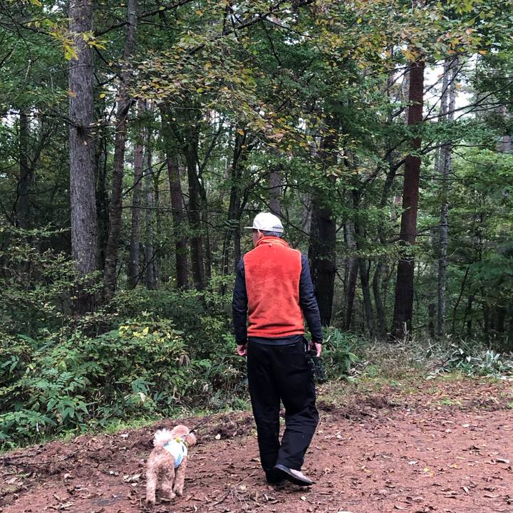 91fe766b bf2c 42d5 8771 255bafe791da 1773565178046