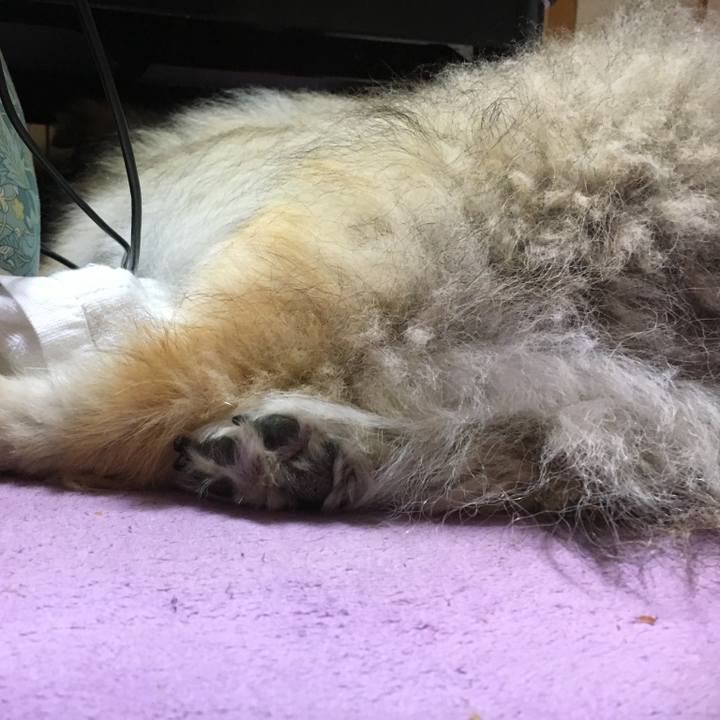 91fe7afd 3f8f 437e b792 f2641bf5a85d 1569300246531