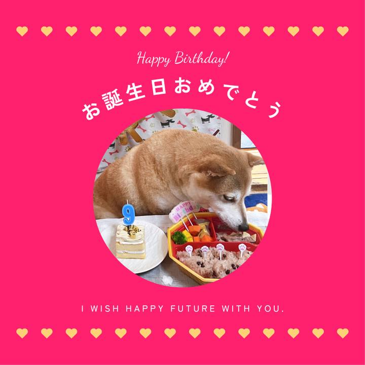 91fe896d 62fb 4afa 8849 68a734cc9f50 1699659011393