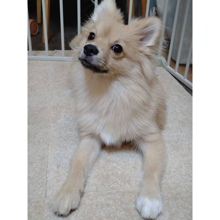 91fea5db fa36 4f63 9fe7 0039e1755fd5 1732964975936