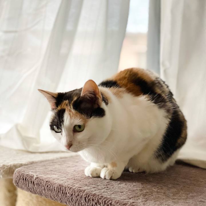 91fed807 d3b5 4dde a124 0c96fc8b80db 1625193810582