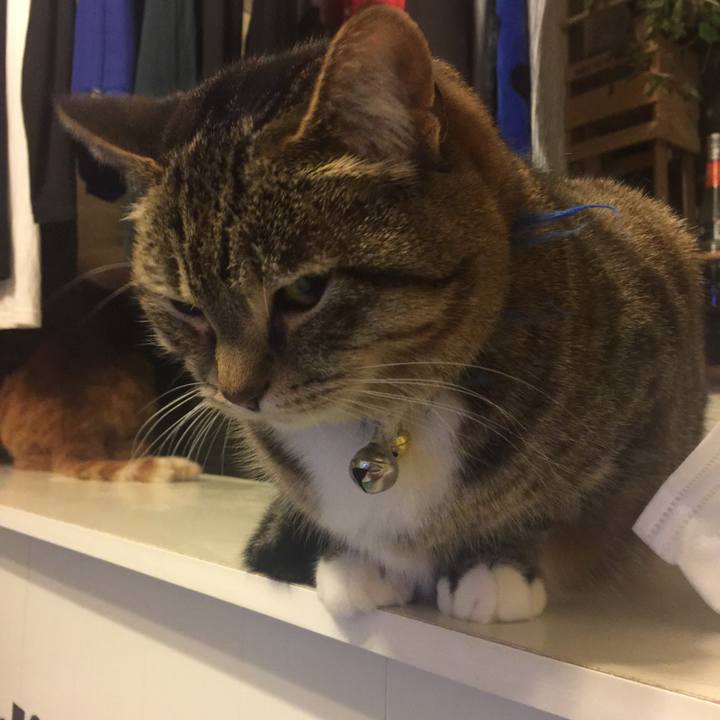 91feee0a 3413 405b a343 7874315c4cbb 1556460801828