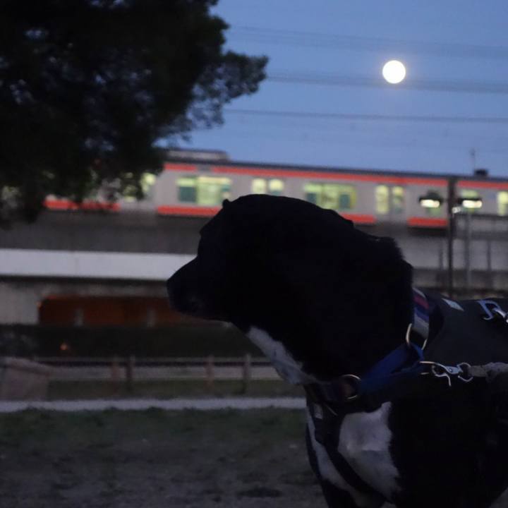 91fef0f3 727e 4e8e 8c31 83ba6c3722c5 1650106170510