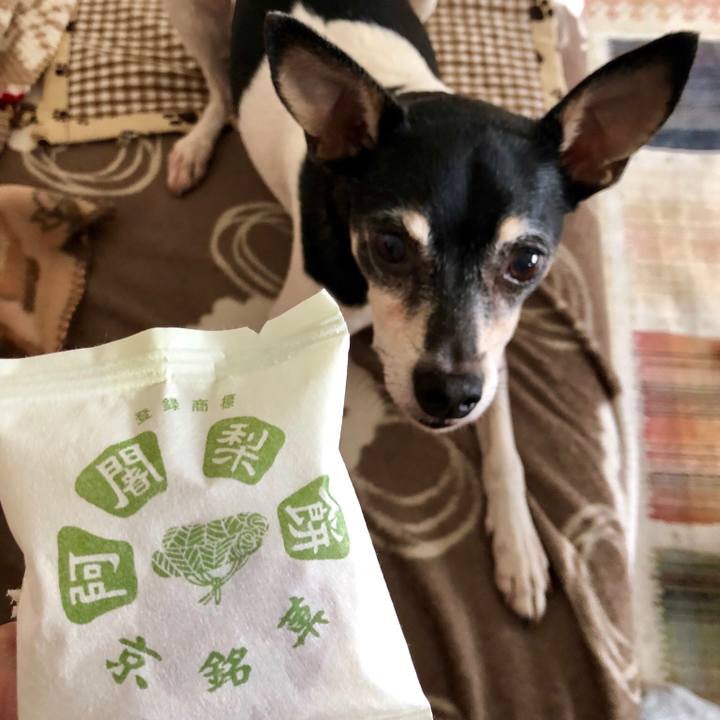 91fef27f 4e63 436e ba4c babb197f58f2 1553212887467