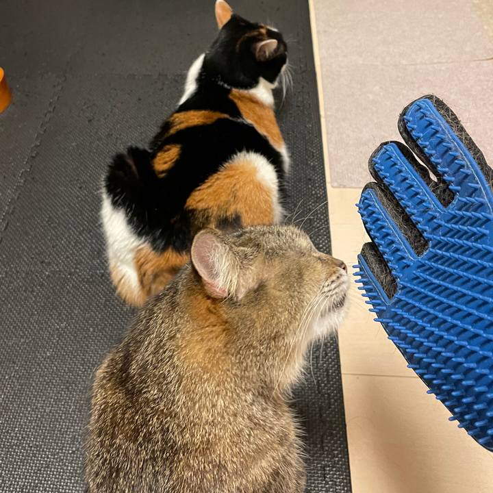 91ff05bb ad31 4b3b be5b 05cddcdeeffe 1756207049577