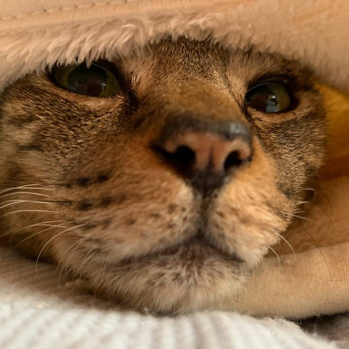 91ff1a10 d9bd 47ef b8b1 a8dedfbde743 1558313642771