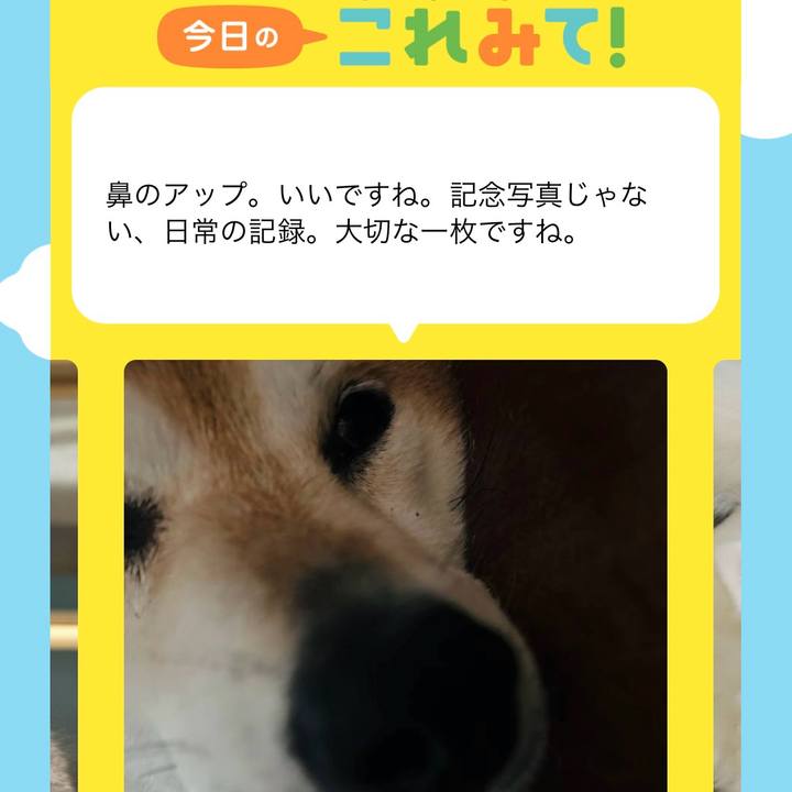 91ff21b1 c96f 47b5 a10d a1ea3ce662b9 1726191653657