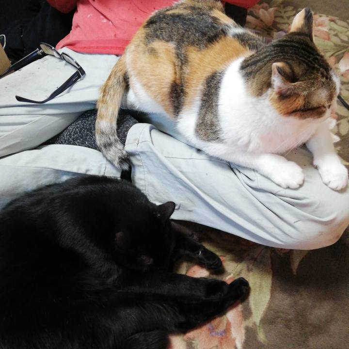 91ff2ea0 b7ce 4201 b069 13ec20351bab 1617920321780