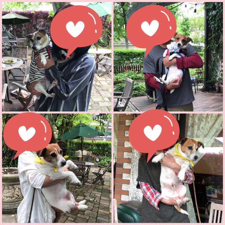 91ff44b2 52c5 4f14 989f 89ec667069af 1524666619143