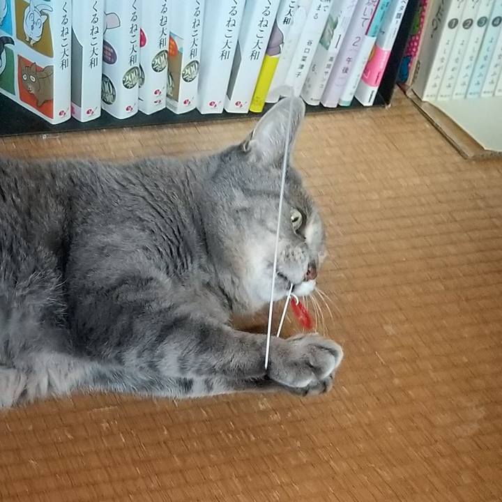 91ff4ac4 cc2f 461b 9d88 b11f9f69859d 1672279474720