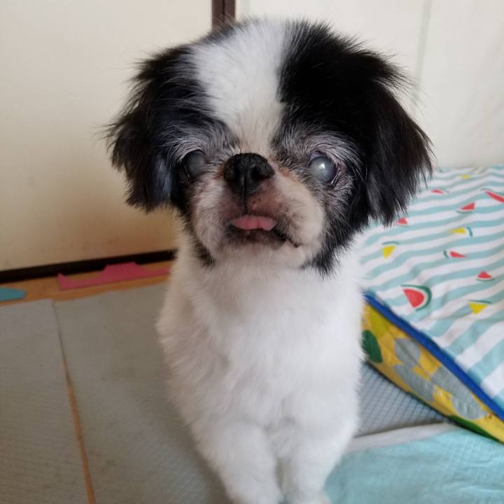 91ff6f92 9b38 4148 acb4 be001cbd8619 1627792595537