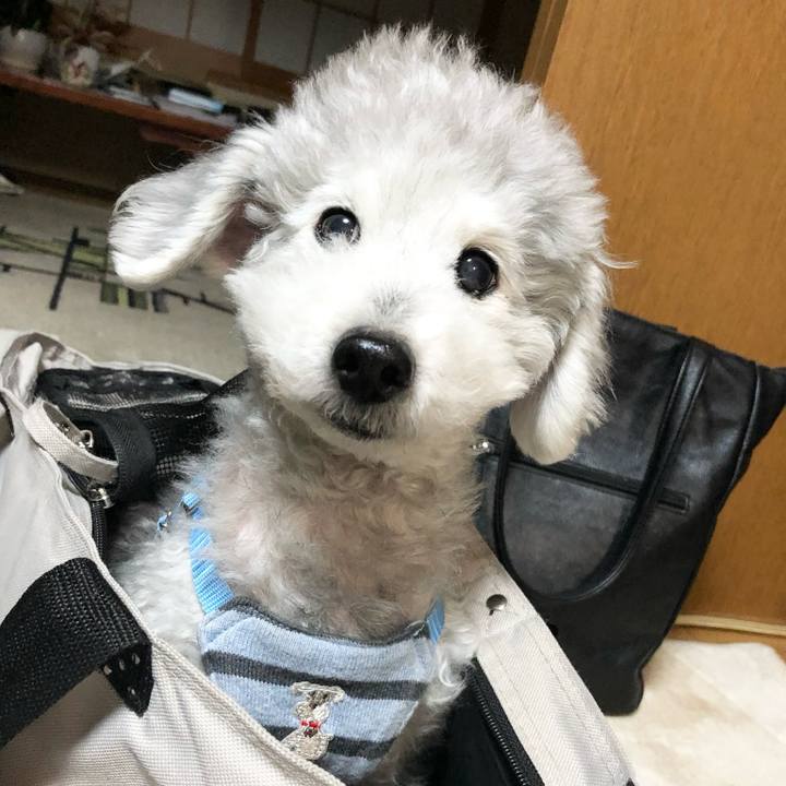 91ff8092 2457 4d8d 89a5 e9a4333bdc67 1718671471166