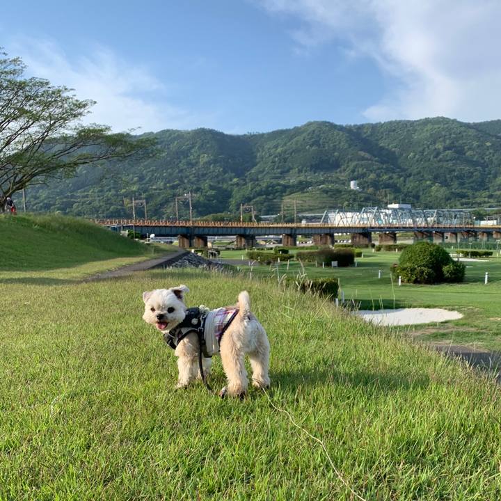 91ffd633 f59e 4990 ab10 2913d87c0681 1589460895375