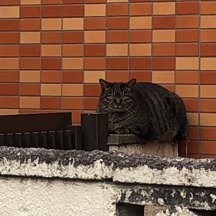 92001089 7fde 4e7e a9a1 6bd306d4a80e 1649601916763