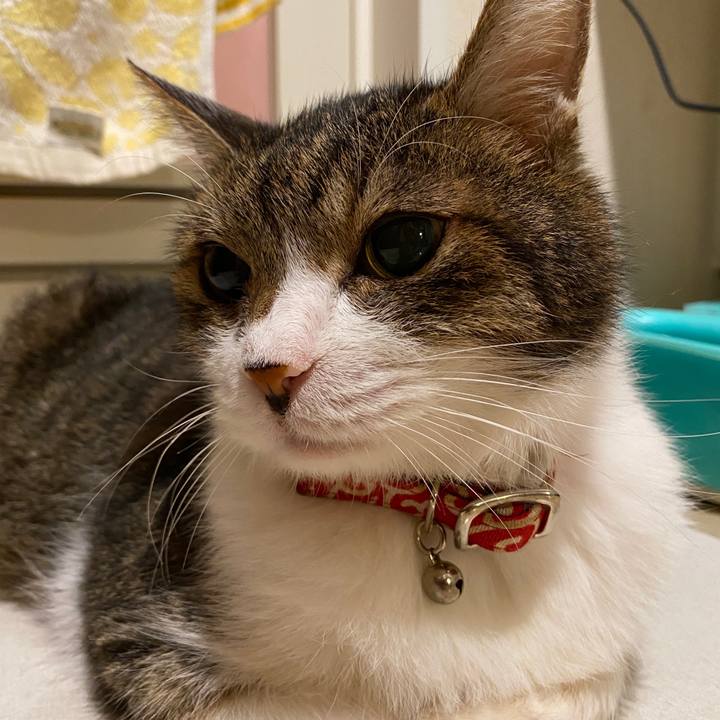 92002ef1 03d1 483a 90d7 42613aeda913 1591578291647