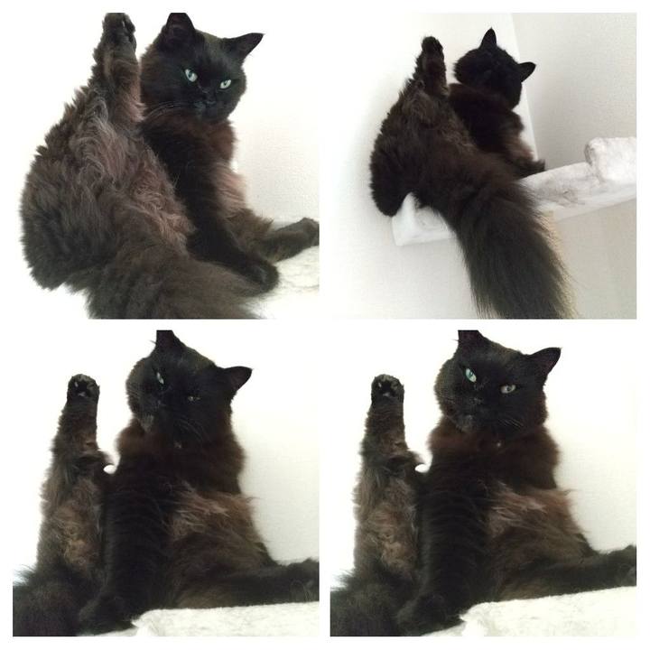 92003bad 1550 4ffd bfa1 331b01ca88bd 1623284485424