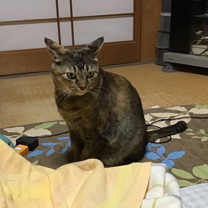 92004987 e06d 4c16 baf9 e9be125b4743 1762859794349