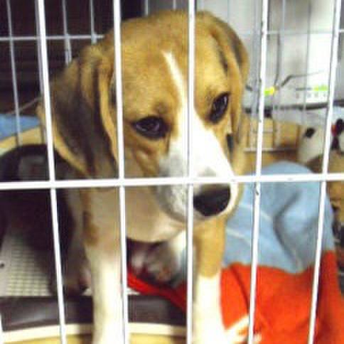 9200d23f 3346 45bb a164 a55ca7b6b760 1683244278922