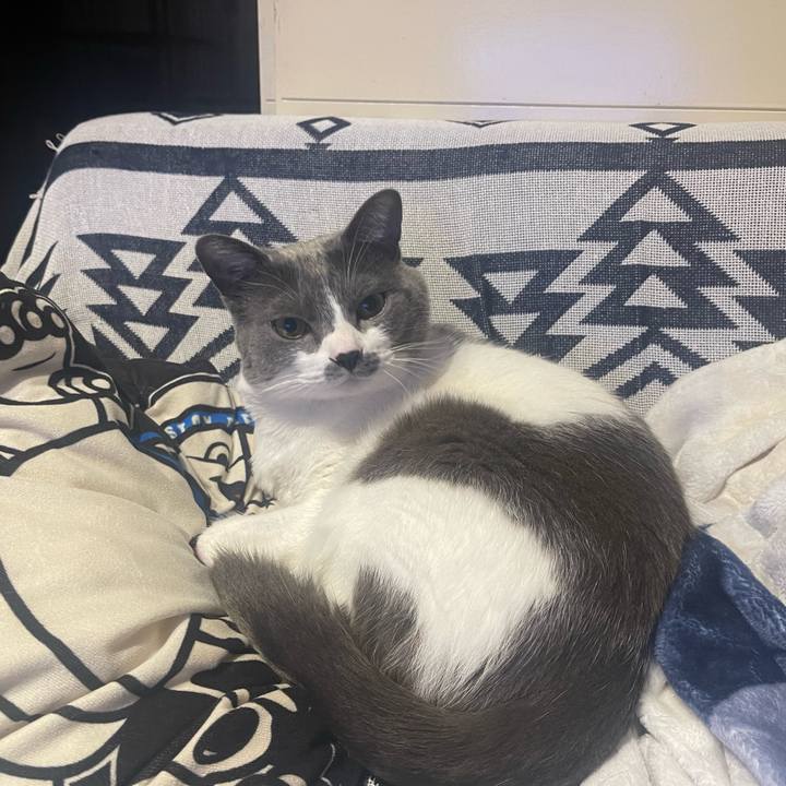 9200f12c caf8 498a b87d 14dc80ebf650 1673440957342