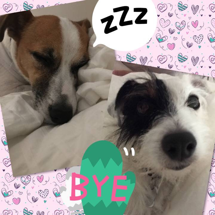 9201134d 5d36 4c6c 942d cdf4966752c0 1535468124579