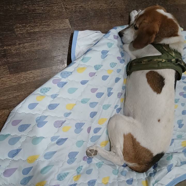 92012fcc 48a4 4d19 9ff6 4e9028d1300b 1751513787735