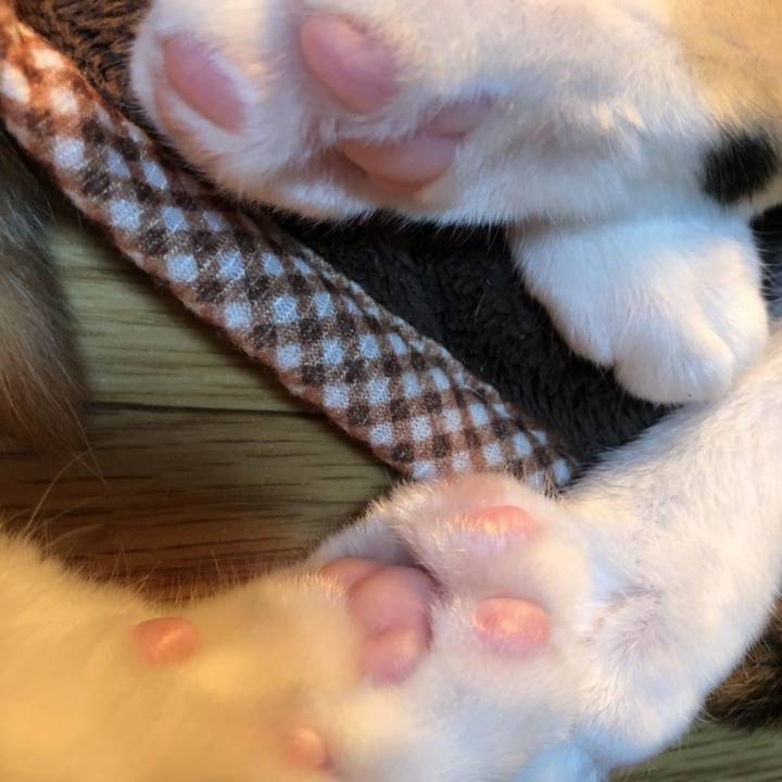 9201382c 032c 491f b657 5cdf5b29af1f 1545392296819